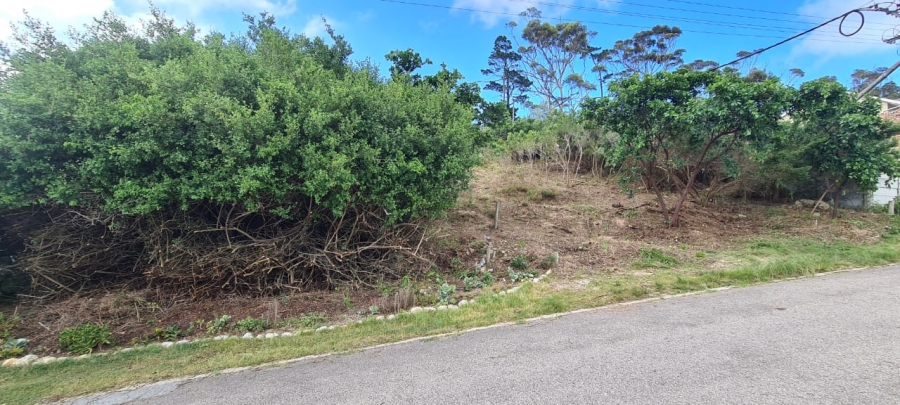  Bedroom Property for Sale in Sedgehill Western Cape
